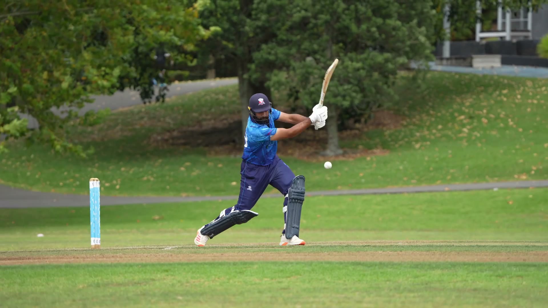 Cricket at the club